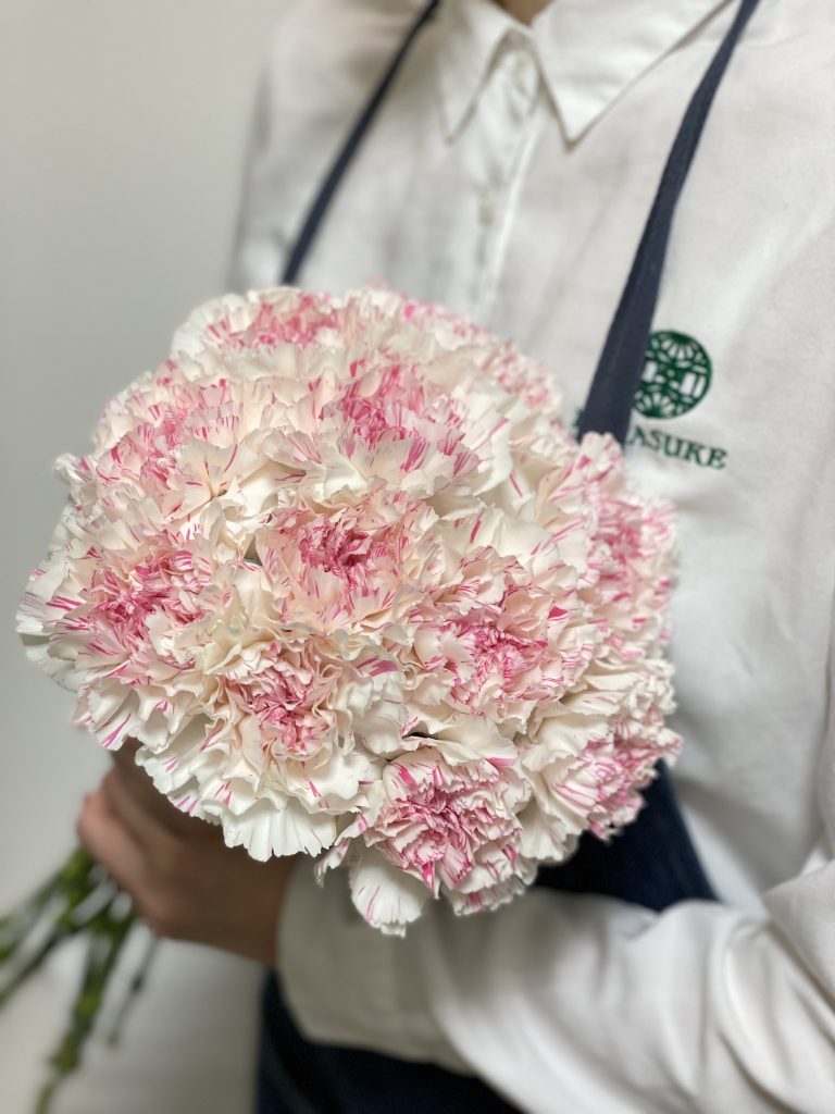 Carnation Yukari Cherry 花屋 はな輔