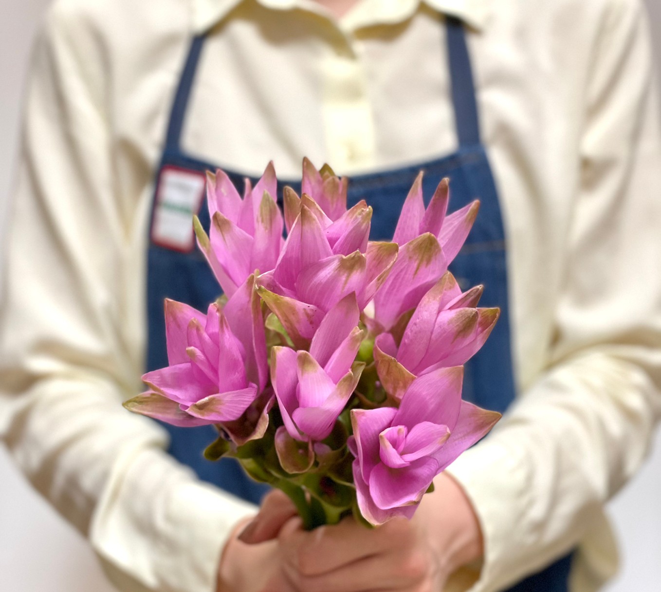 クルクマ 花屋 はな輔