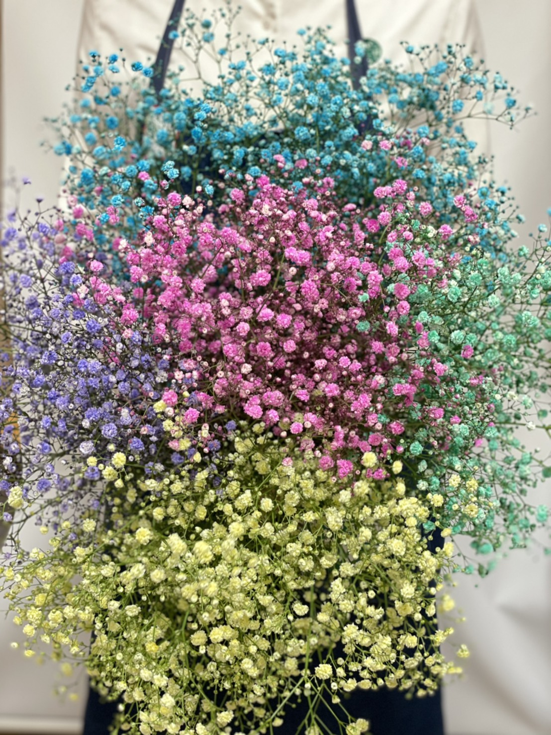 Gypsophila 花屋 はな輔