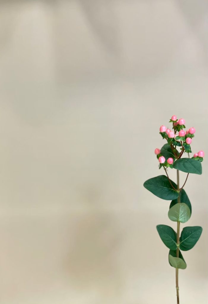 ヒペリカム ココ着物 花屋 はな輔