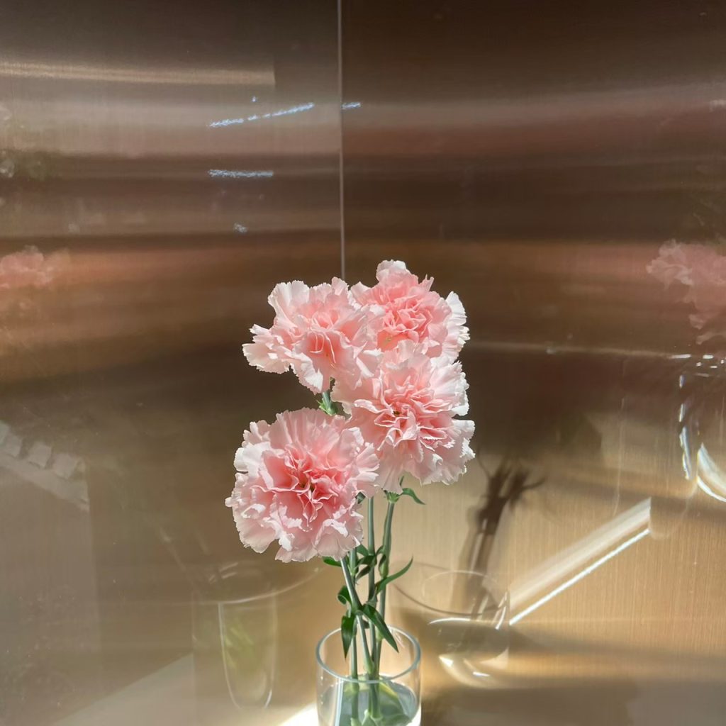 カーネーション ミズキ 花屋 はな輔