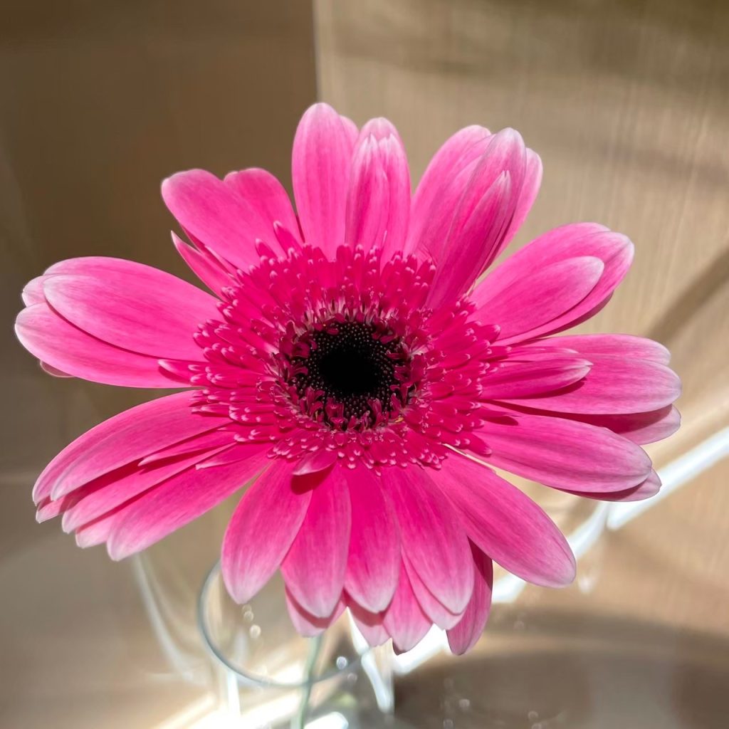 カーヒベ 様 ヘカーティア・ラピスラズリ - ニコニコMUGENwiki - atwiki（アット